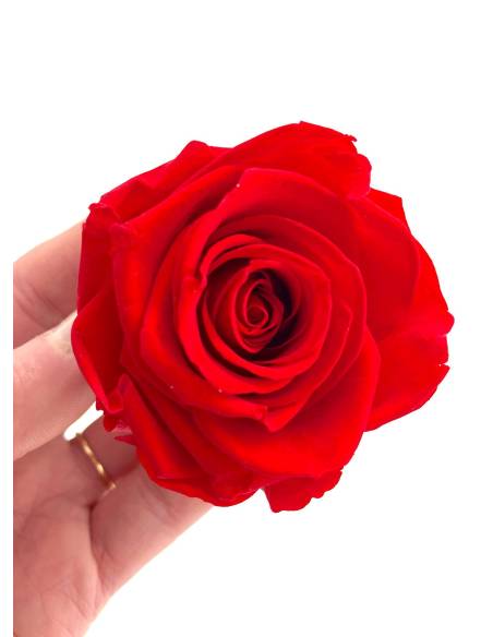 Bouton de rose éternelle stabilisée Rouge x 1, vue 4