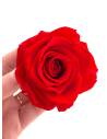 Bouton de rose éternelle stabilisée Rouge x 1, vue 4