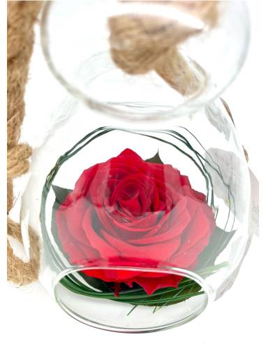 Suspension globe "Rose éternelle Rouge", vue 5