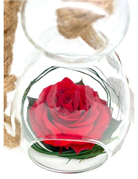 Suspension globe "Rose éternelle Rouge", vue 5