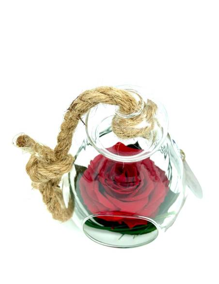 Suspension globe "Rose éternelle Rouge", vue 7
