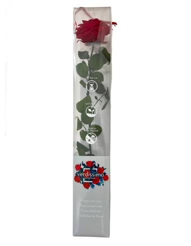 Rose éternelle stabilisée Rouge Premium, vue 4