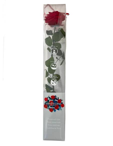 Rose éternelle stabilisée Rouge Premium, vue 4
