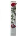 Rose éternelle stabilisée Rouge Premium, vue 4