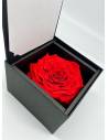 Flow'inbox XL - rose Premium, vue 2