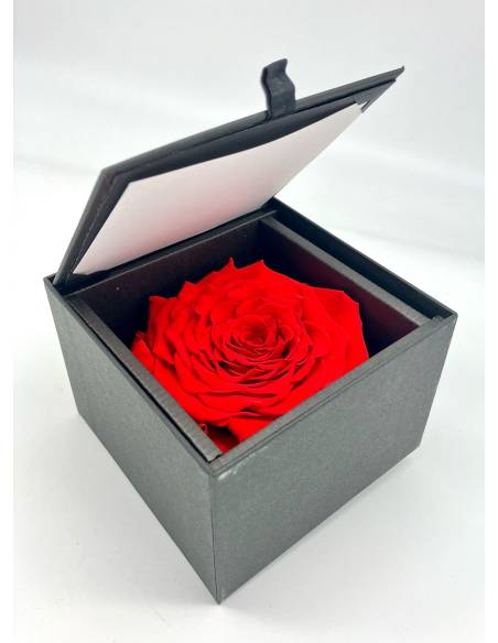 Flow'inbox XL - rose Premium, vue 3