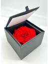 Flow'inbox XL - rose Premium, vue 3