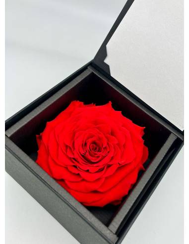 Flow'inbox XL - rose Premium, vue 4