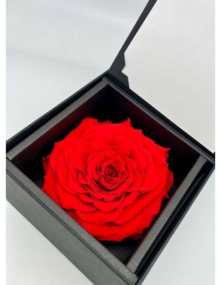 Flow'inbox XL - rose Premium, vue 4