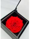 Flow'inbox XL - rose Premium, vue 4