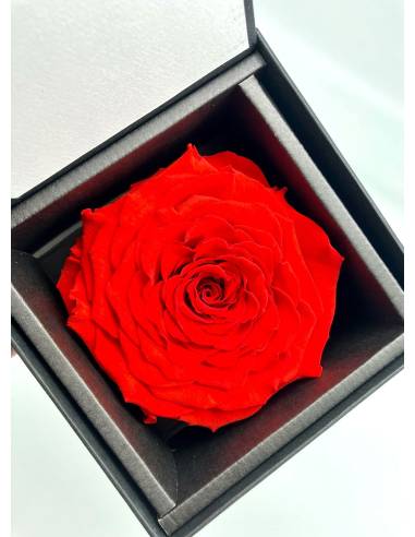 Flow'inbox XL - rose Premium, vue 5