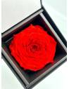 Flow'inbox XL - rose Premium, vue 5