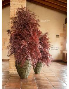 Wide Nicoly tree - Rouge ou vert