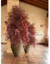 Wide Nicoly tree - Rouge ou vert