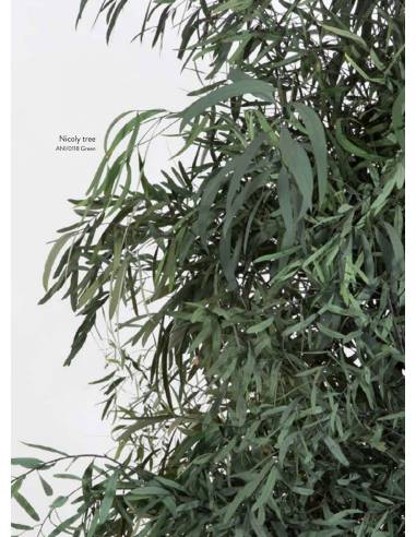 Wide Nicoly tree - Rouge ou vert, vue 2