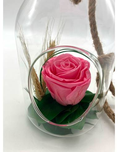 Suspension Bottle rose éternelle Rose clair, vue 3