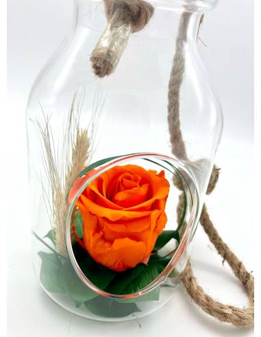 Suspension Bottle Rose éternelle Orange, vue 2