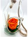 Suspension Bottle Rose éternelle Orange, vue 2