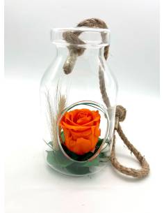 Suspension Bottle Rose éternelle Orange