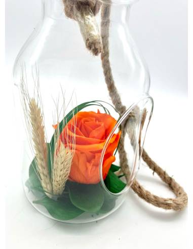 Suspension Bottle Rose éternelle Orange, vue 3