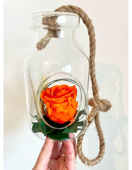 Suspension Bottle Rose éternelle Orange, vue 4