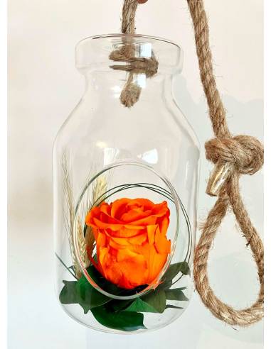 Suspension Bottle Rose éternelle Orange, vue 5