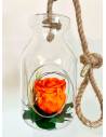 Suspension Bottle Rose éternelle Orange, vue 5
