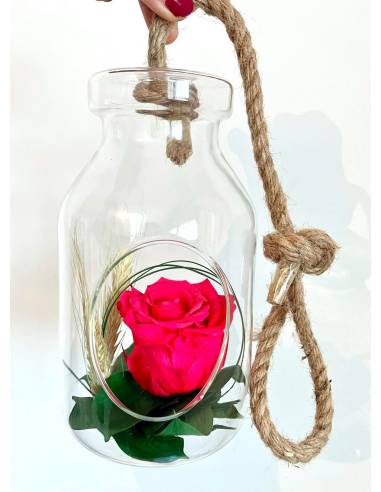 Suspension Bottle Rose éternelle Fuschia, vue 2