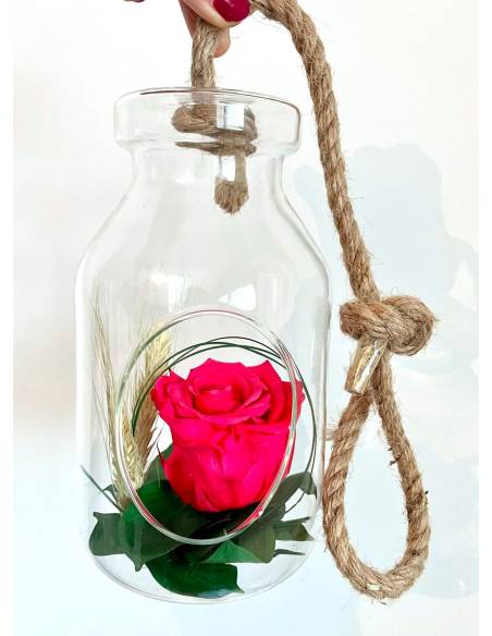 Suspension Bottle Rose éternelle Fuschia, vue 2