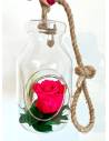Suspension Bottle Rose éternelle Fuschia, vue 2