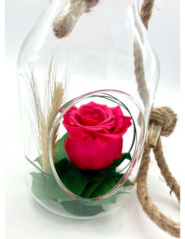 Suspension Bottle Rose éternelle Fuschia, vue 4
