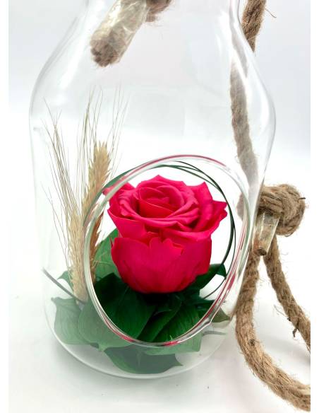 Suspension Bottle Rose éternelle Fuschia, vue 4