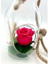 Suspension Bottle Rose éternelle Fuschia, vue 4