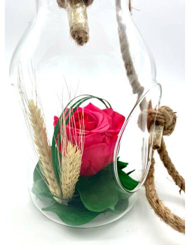 Suspension Bottle Rose éternelle Fuschia, vue 5