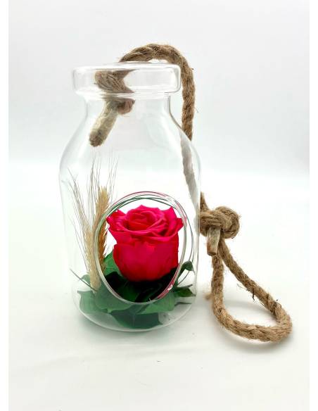 Suspension Bottle Rose éternelle Fuschia