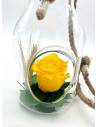 Suspension Bottle Rose éternelle Jaune, vue 4