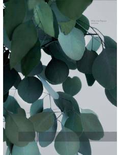 Wide tree Populus