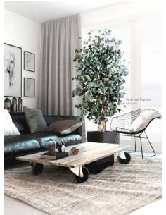 Wide tree Populus 2
