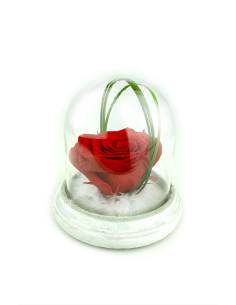Rose éternelle Rouge dans sa cloche XS