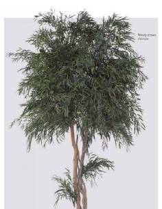 Crown Tree 2