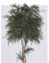 Crown Tree, vue 3