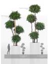 Arbres 4 Spheres, vue 3