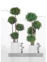 Arbres 4 Spheres, vue 2