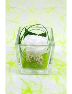 Cube déco rose éternelle Blanche lichen