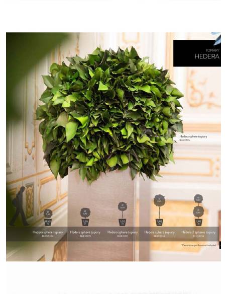 Hedera Spheres, vue 2