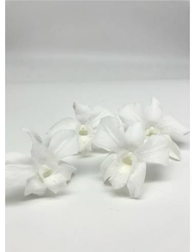 Orchidée Denbrodium Blanche x 1, vue 4