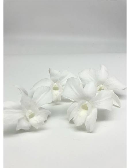 Orchidée Denbrodium Blanche x 1, vue 4