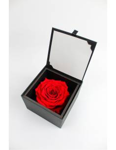 Flow'inbox diamant XL - rose Rouge diamant Premium