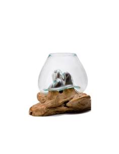 Vase Amazonia taille XL