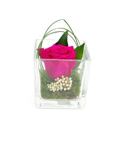 Cube déco rose éternelle rose Fuchsia nature